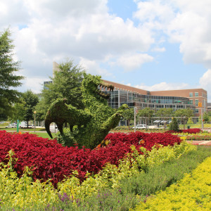 The University of Alabama at Birmingham